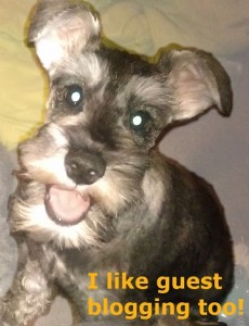 dogs like guest posting too dogs like guest posting too!